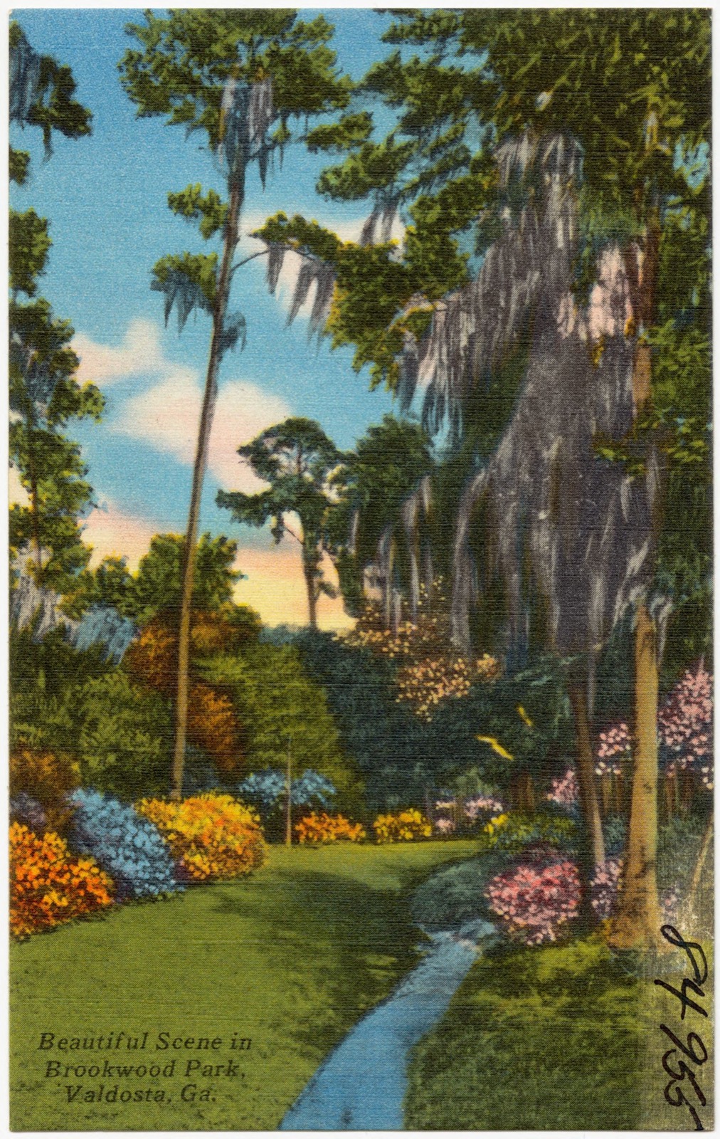Beautiful scene in Brookwood Park, Valdosta, Ga., Boston Public Library - undated