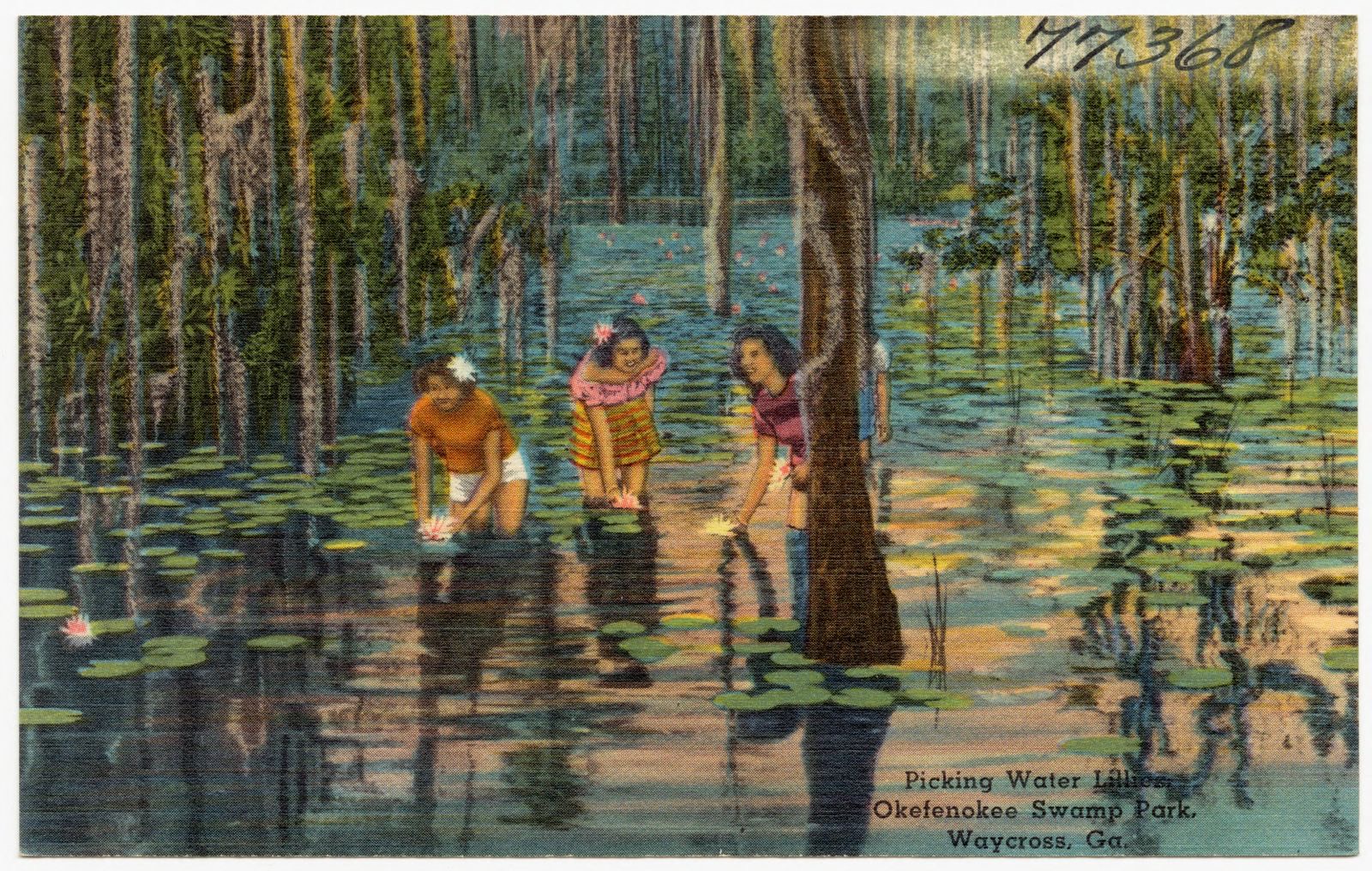 Picking water lilies, Okefenokee Swamp Park, Waycross, Ga., Boston Public Library - undated