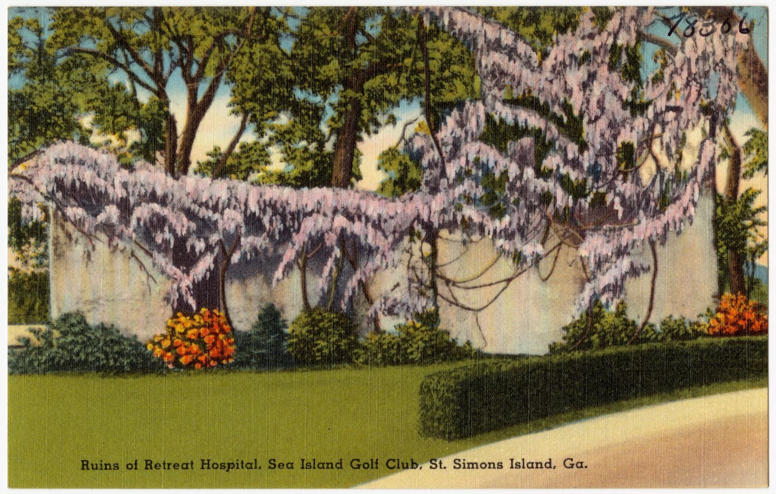 Ruins of Retreat Hospital, Sea Island Golf Club, St. Simons Island, Ga., Boston Public Library - undated