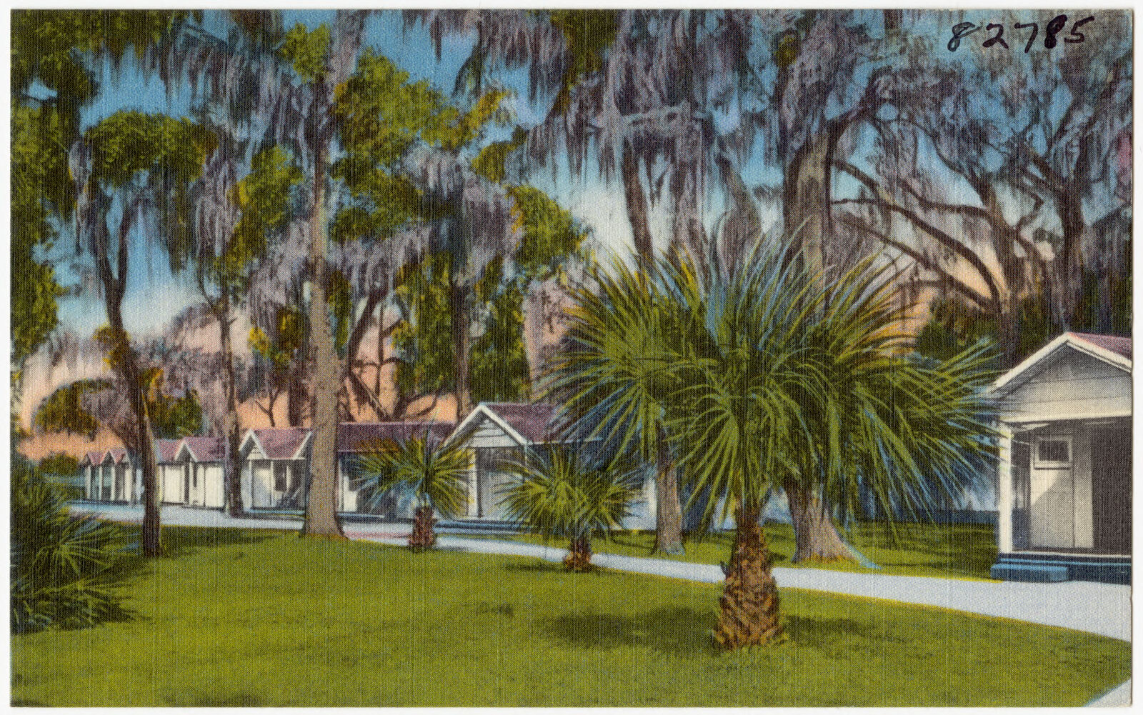 Enjoy the restful quietude of Palmetto Court on Route 17, north side, Brunswick, Ga., Boston Public Library - undated