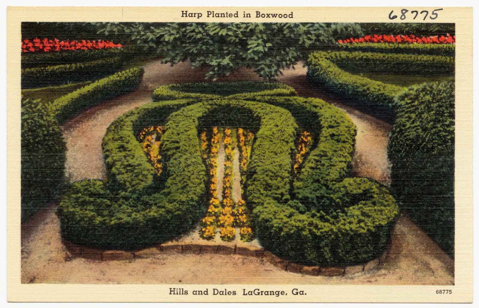 Harp planted in boxwood, Hills and Dales, LaGrange, Ga., Boston Public Library - undated