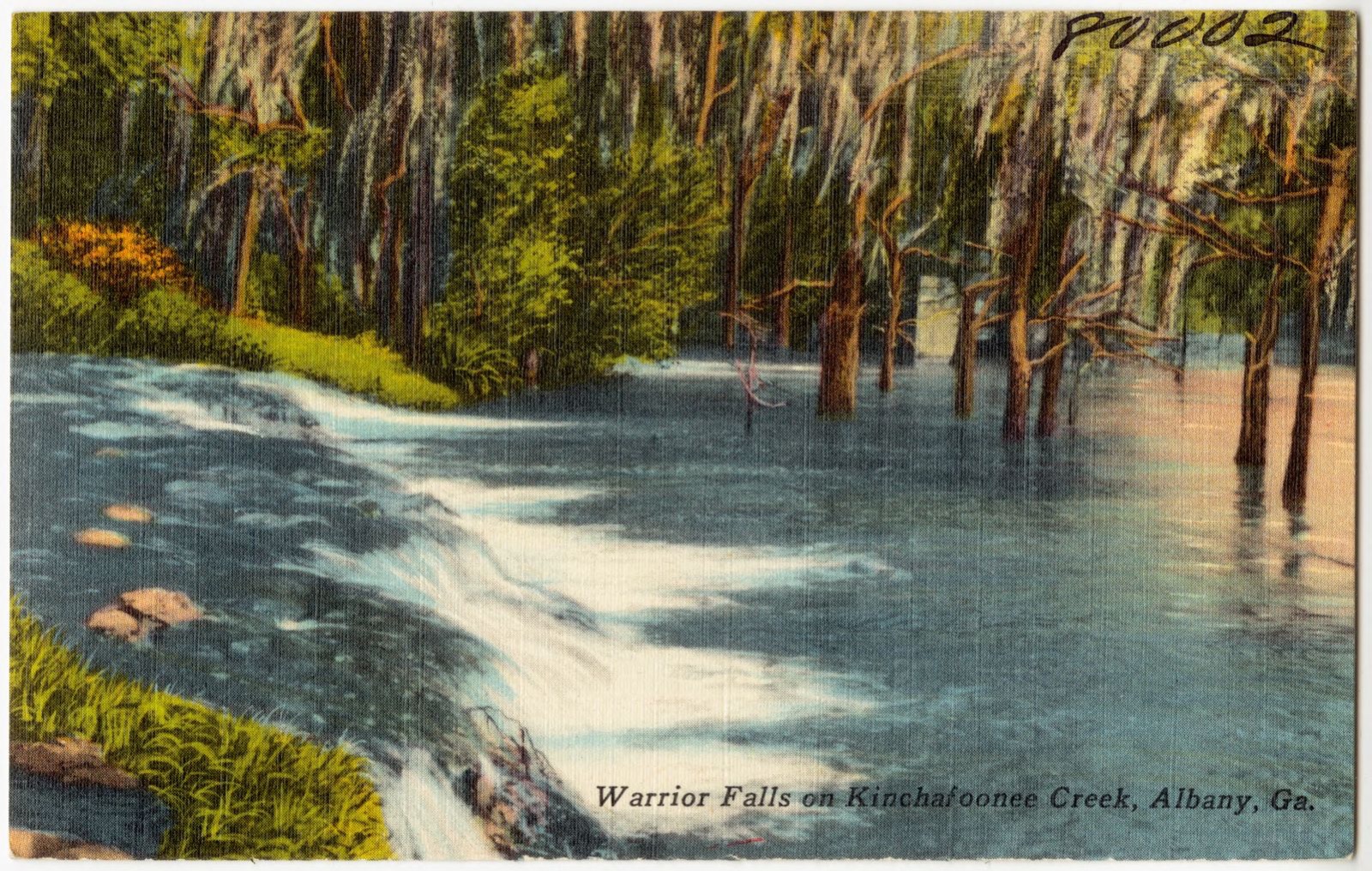 Warrior Falls on Kinchafoonee Creek, Albany, Ga., Boston Public Library - undated