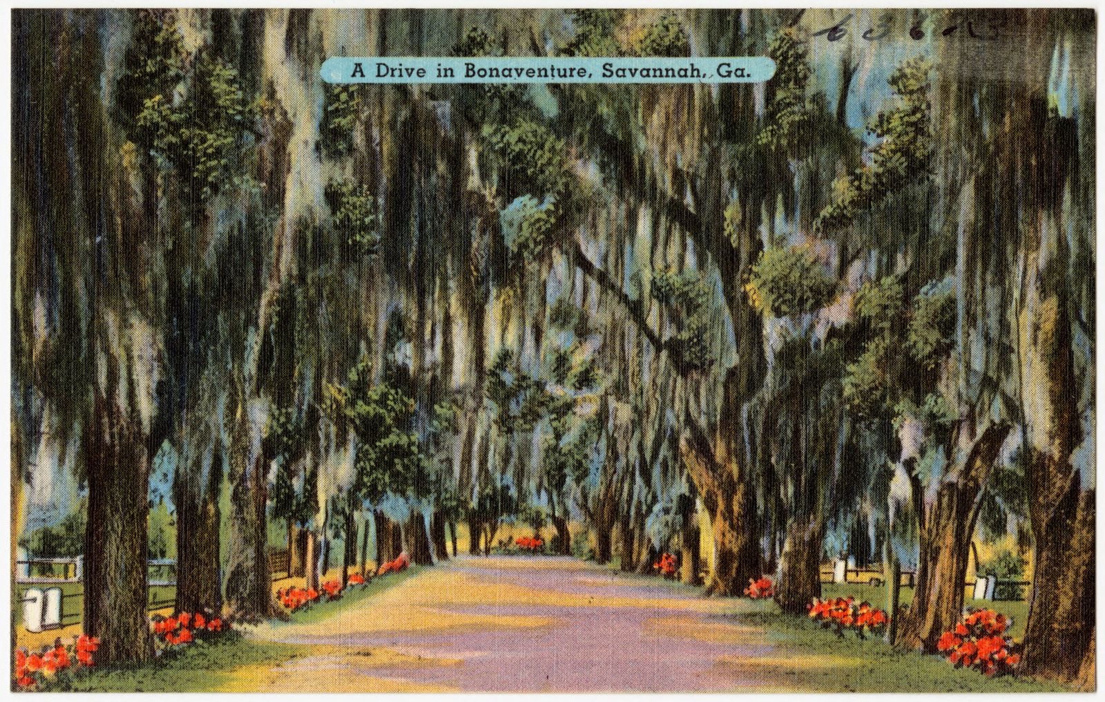 A drive in Bonaventure, Savannah, Ga., Boston Public Library - undated