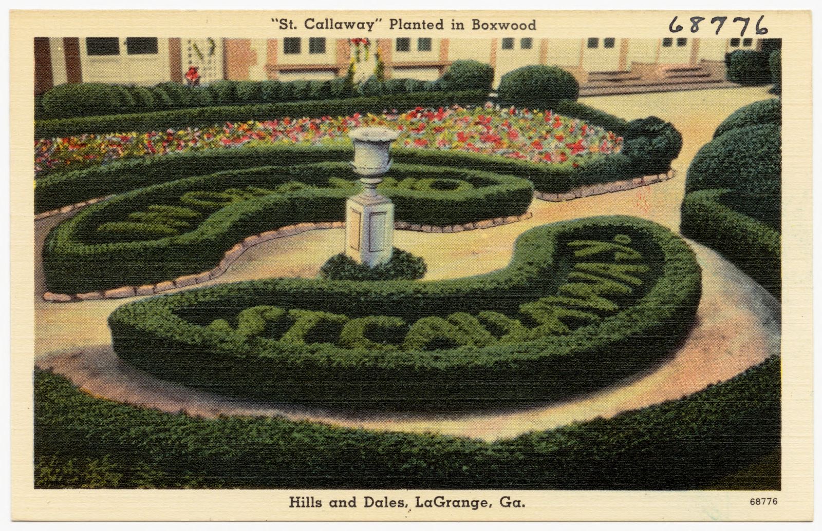 "St. Callaway" planted in boxwood, Hills and Dales, LaGrange, Ga., Boston Public Library - undated