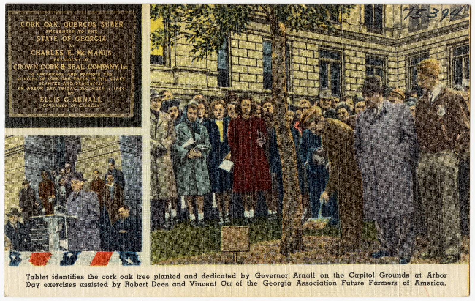Tablet identifies the cork oak tree planted and dedicated by Governor Arnall on the capitol grounds at Arbor Day exercises assisted by Robert Dees and Vincent Orr of the Georgia Association Future Farmers of America., Boston Public Library - undated