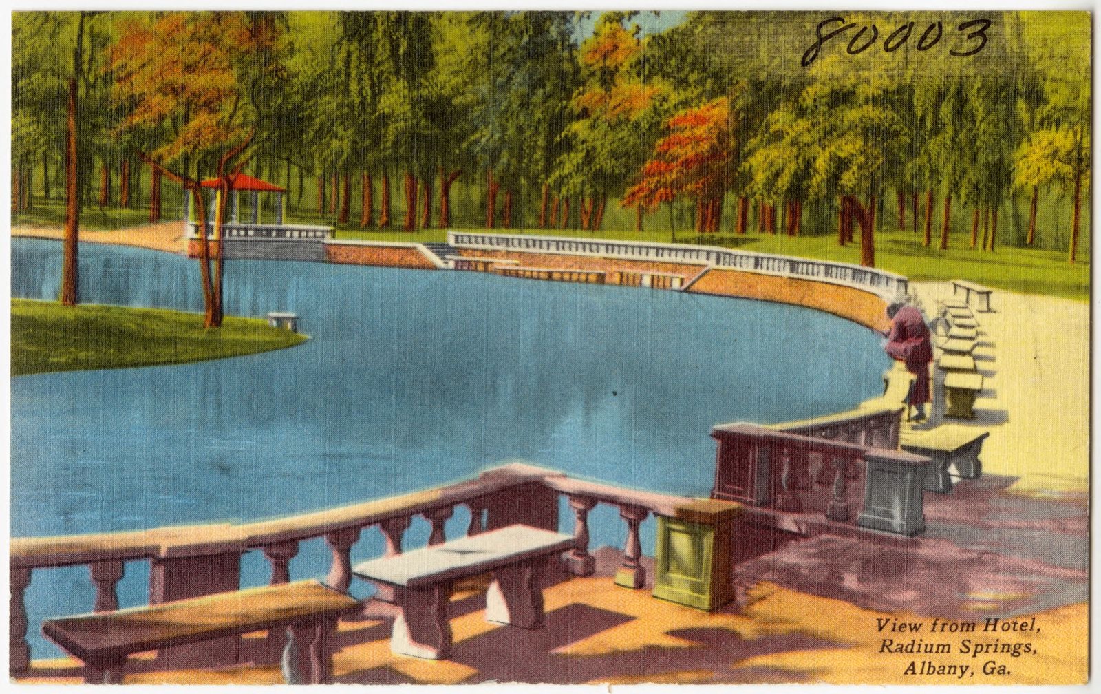 View from hotel, Radium Springs, Albany, Ga., Boston Public Library - undated
