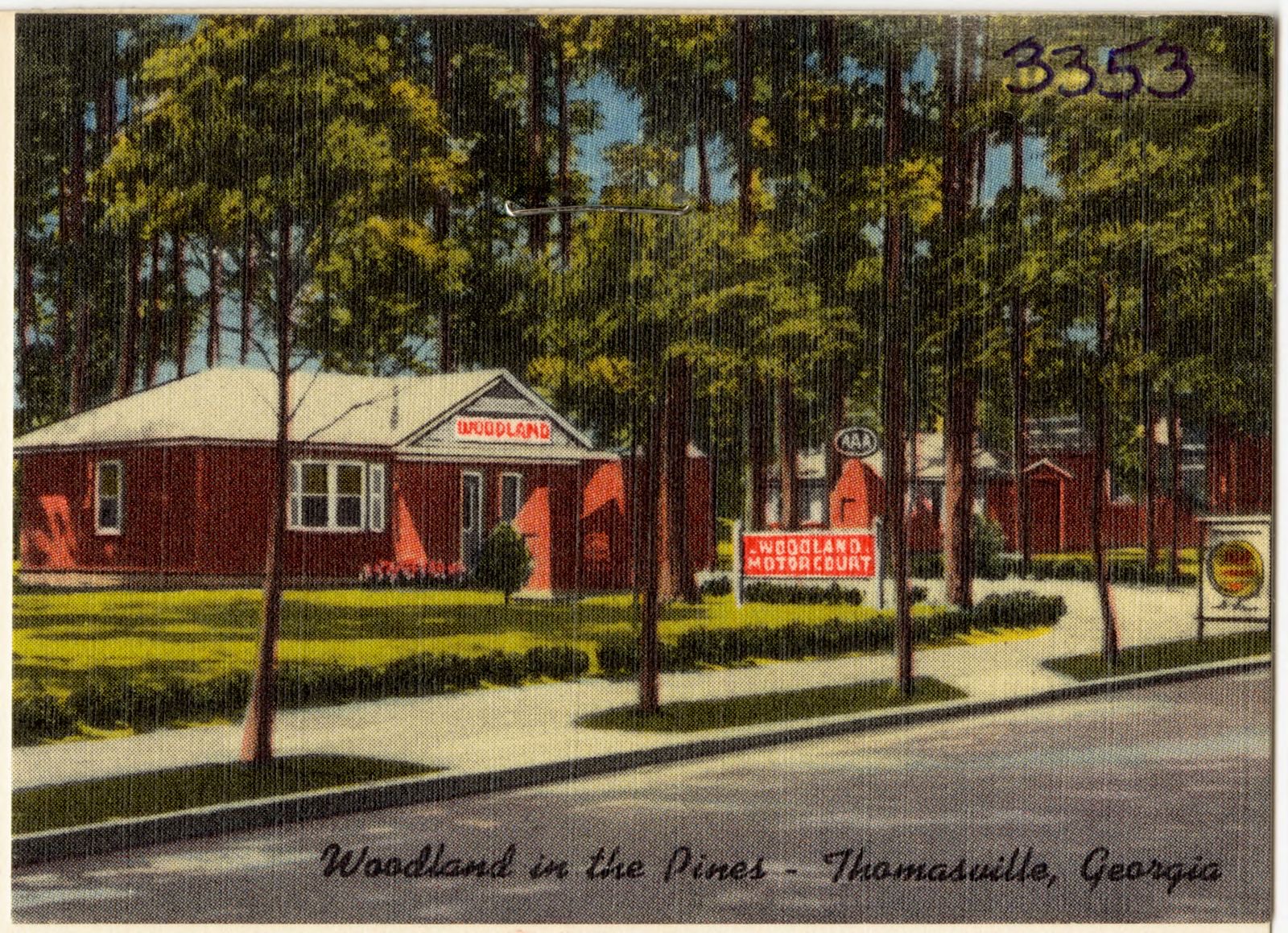 Woodland in the Pines, Thomasville, Georgia, Boston Public Library - undated