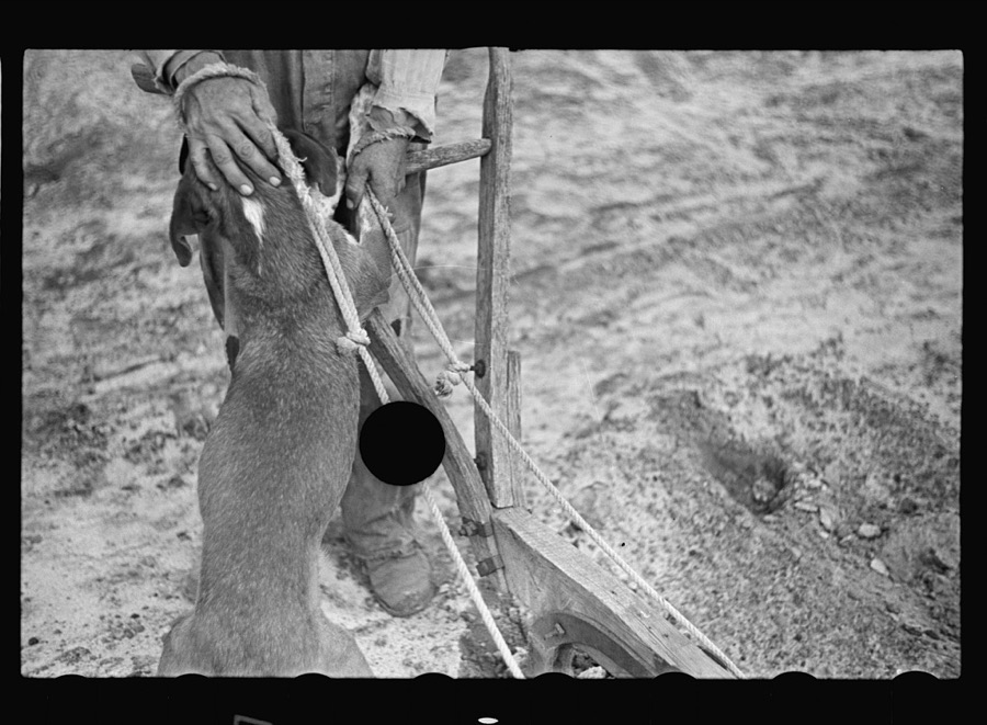 Plowing, Irwin County, Georgia