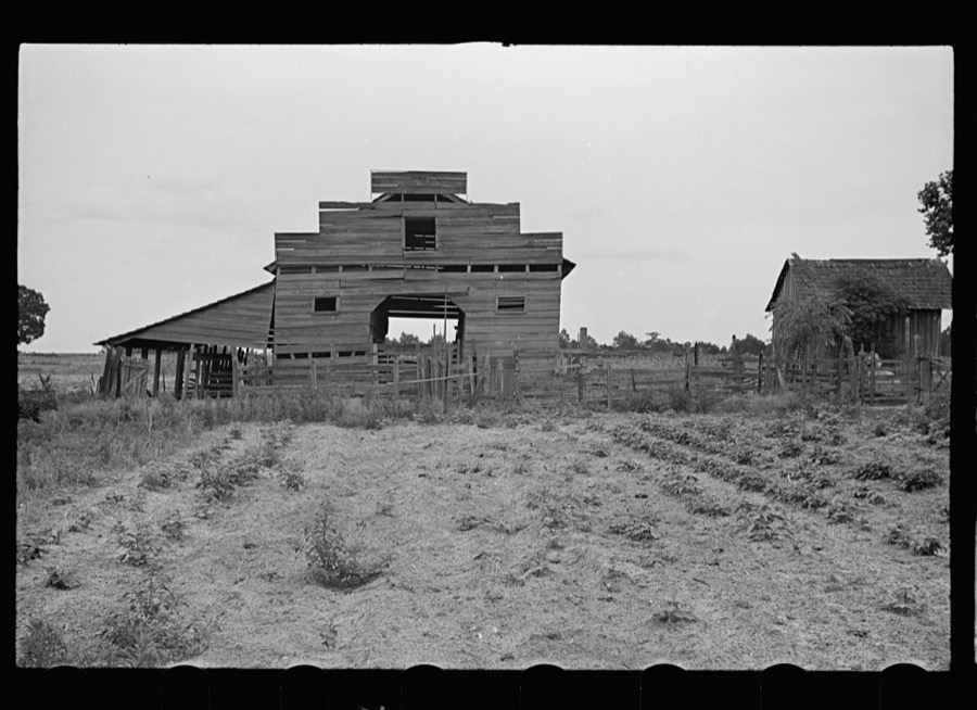 Old tobacco barn. Irwin County, Georgia