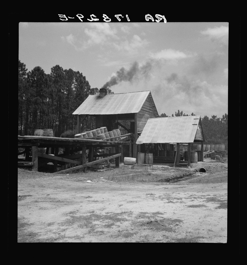 Turpentine still in the Piney Woods near Valdosta, Georgia