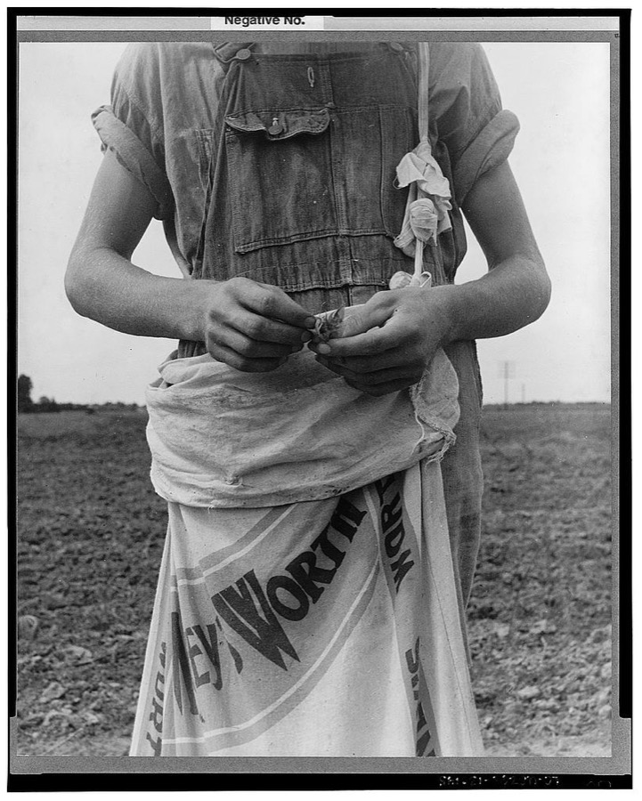 Farm boy with sack full of boll weevils which he has picked off of cotton plants. Macon County, Georgia
