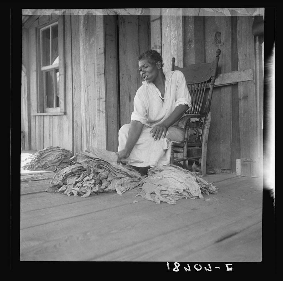 Near Douglas, Georgia. Sharecroppers grade the cured leaves on the porches and sort them to go to the tobacco auction