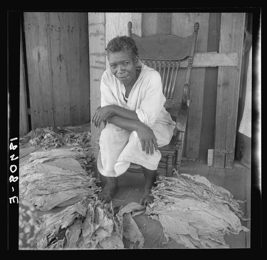 Near Douglas, Georgia. Sharecroppers grade the cured leaves on the porches and sort them to go to the tobacco auction