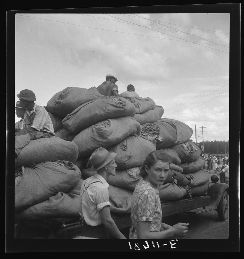 Douglas, Georgia. The "golden leaf," already graded by the farmers, sorted and wrapped in "tobacco sheets," rolls into town to the warehouse where the auctions are held every year
