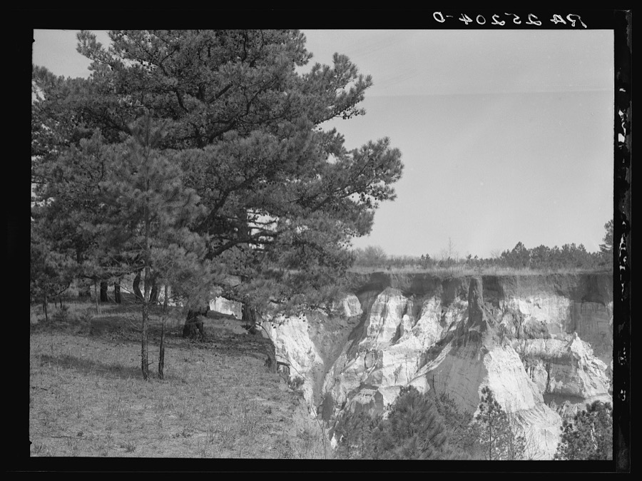 Erosion. Stewart County, Georgia