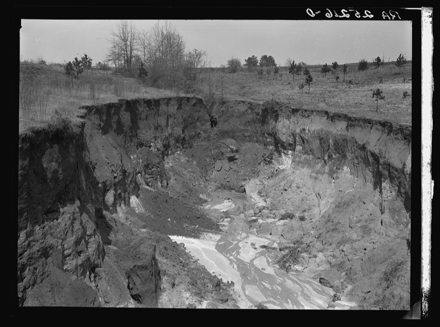 Erosion. Stewart County, Georgia