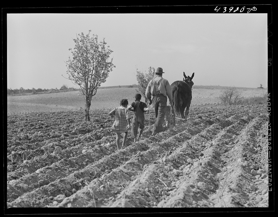 Plowing in northern Heard County, Georgia