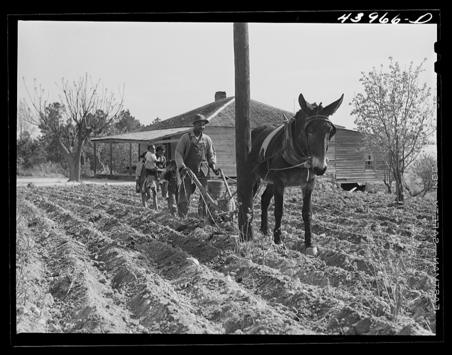 Plowing in northern Heard County, Georgia