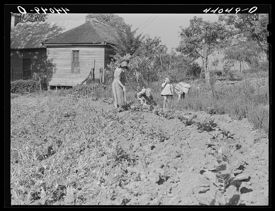 Mrs. Lemuel Smith and the children working in the garden. Carroll County, Georgia