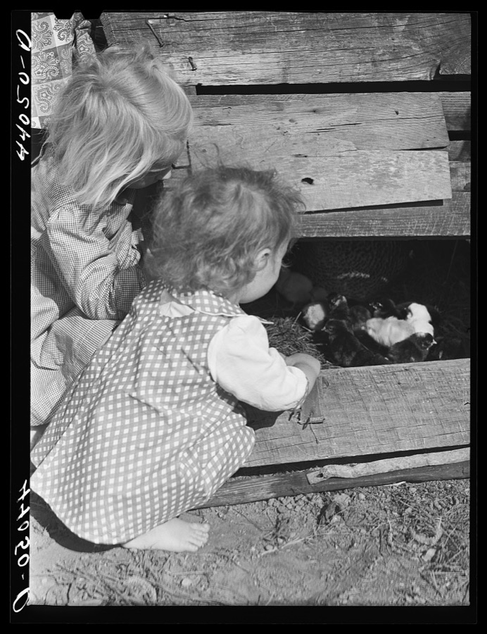 Two of the Smith family children feeding the chickens. Carroll County, Georgia