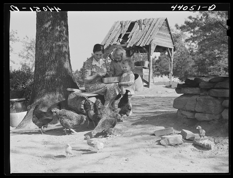 Mrs. L. Smith and two of the children feeding the chickens. Carroll County, Georgia