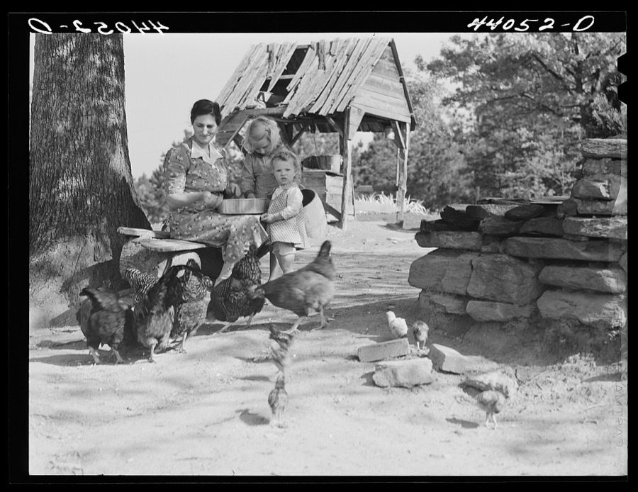 Mrs. L. Smith and two of the children feeding the chickens. Carroll County, Georgia