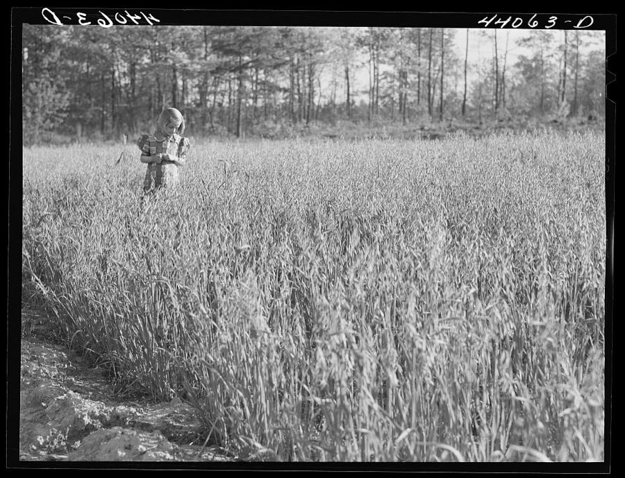 Iola Smith and her dog walking through a field on the Smith farm in Carroll County, Georgia