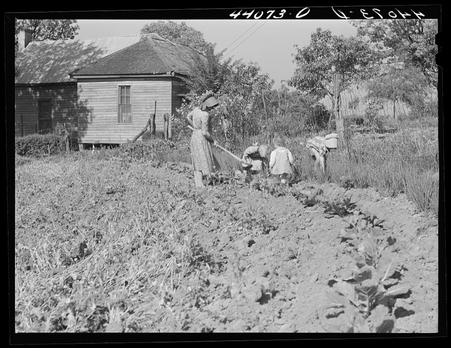 Mrs. Lemuel Smith and the children working in the garden. Carroll County, Georgia