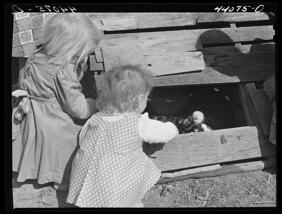 Two of the Smith family children feeding the chickens. Carroll County, Georgia
