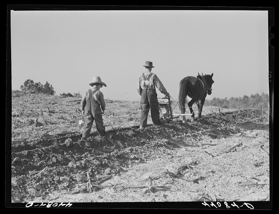 Lemuel Smith, FSA (Farm Security Administration) borrower, plowing; his son, Colie, planting peas. Carroll County, Georgia