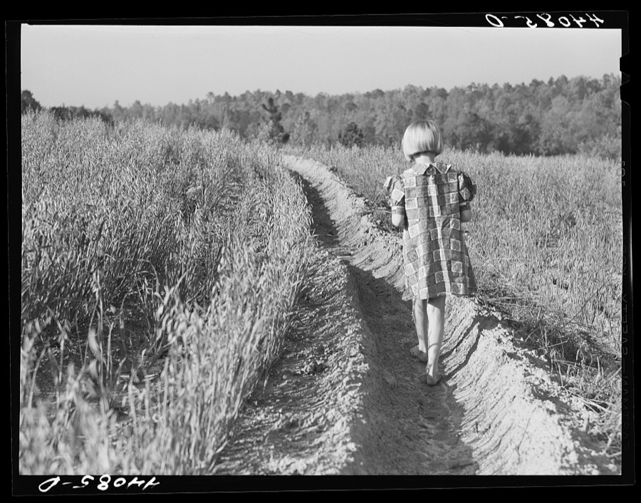 Iola Smith and her dog walking through a field on the Smith farm in Carroll County, Georgia