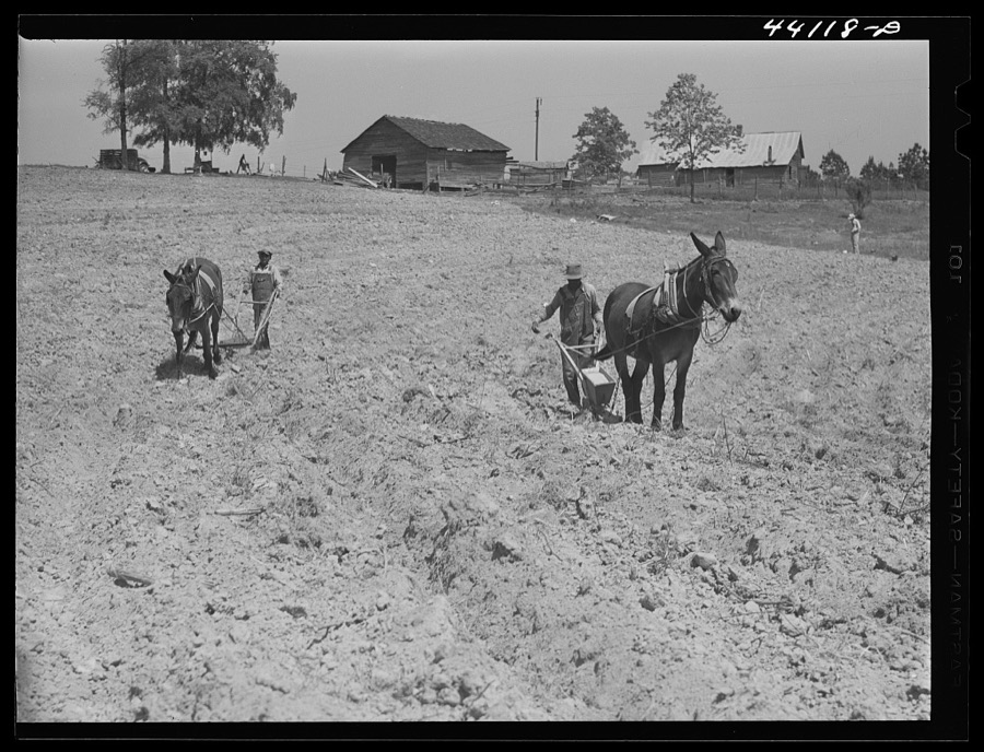 Negro tenant plowing on his farm in Heard County, Georgia
