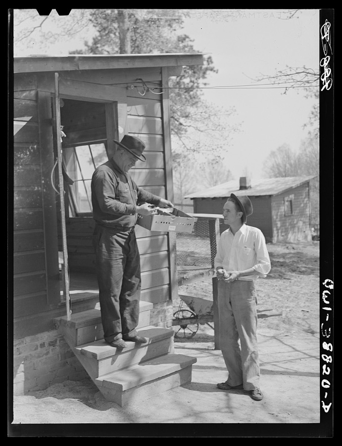 Miscellaneous lot of photographs by Barbara Wright. National Youth Administration (NYA), Works Progress Administration (WPA) and Civilian Conservation Corps (CCC). Habersham, Georgia. NYA youth learning modern incubator techniques from a local farmer