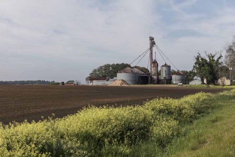 Farm scene in Seminole County, Georgia
