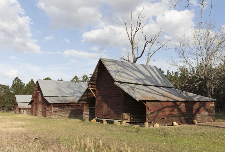 Vintage barns near Cary, Georgia