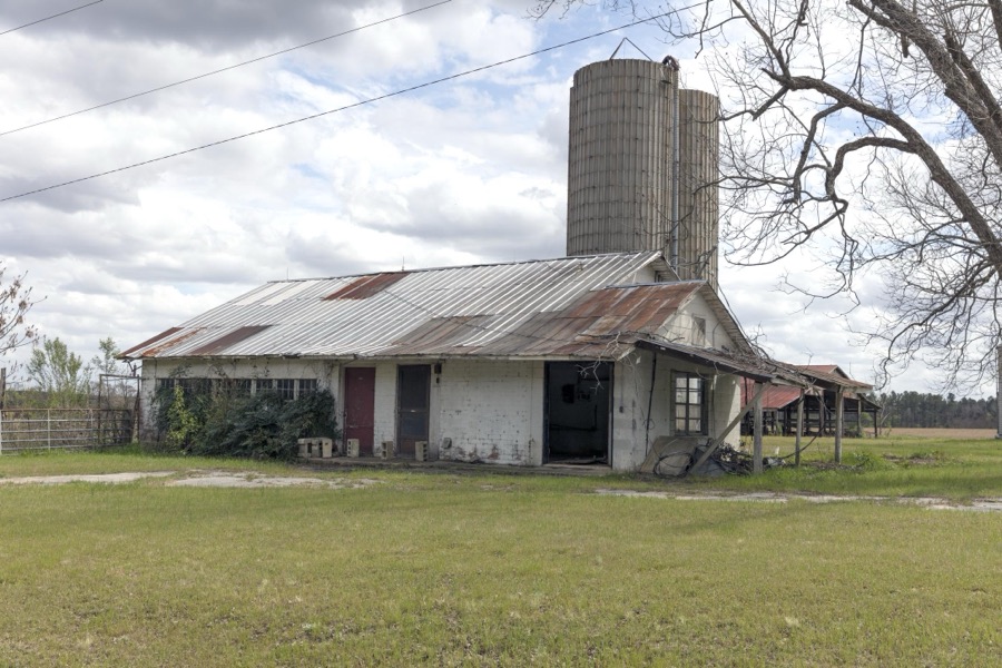 Farm scene in eastern Georgia's Jefferson County, near Louisville