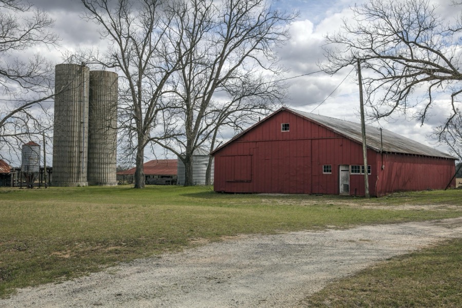 Farm scene near Louisville in eastern Georgia's Jefferson County, near Louisville
