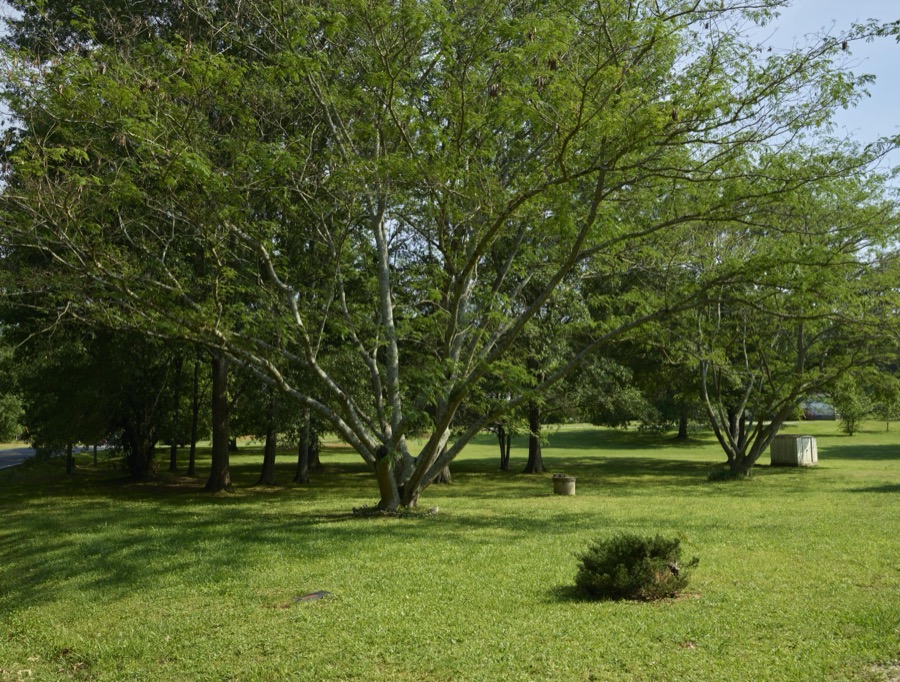 Scene outside Traveler's Rest, a historic inn in Toccoa, a city in northeast Georgia near the South Carolina line