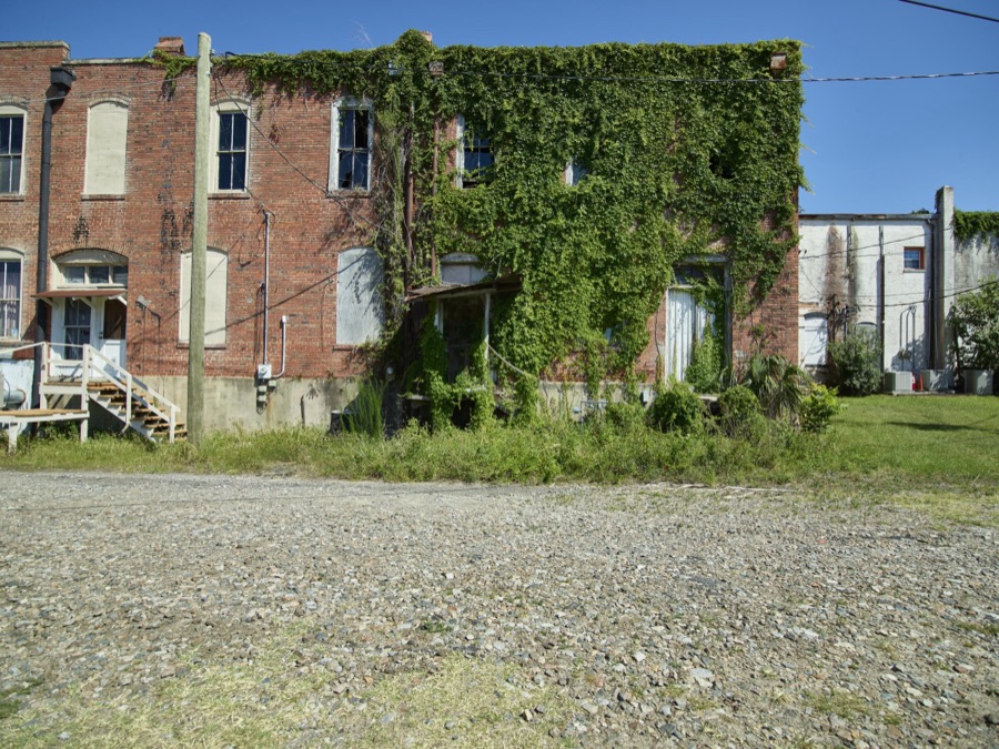 Ivy-covered building in Waycross, Georgia