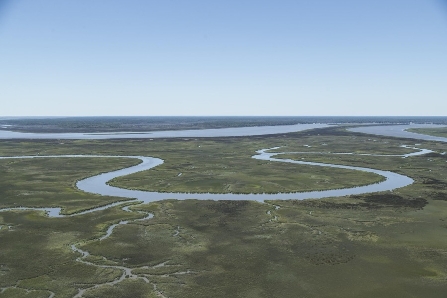 Aerial view of the Little Ogeechee River, near Montgomery, Georgia
