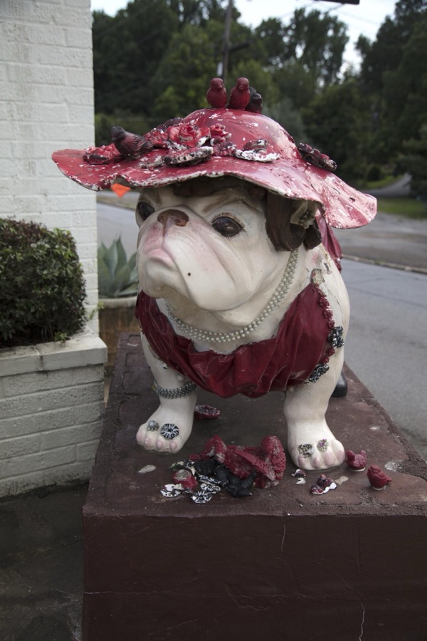 Bulldog street art outside the I Do, I Do bridal boutique in Athens, Georgia, home of the University of Georgia, whose athletic mascot is the bulldog