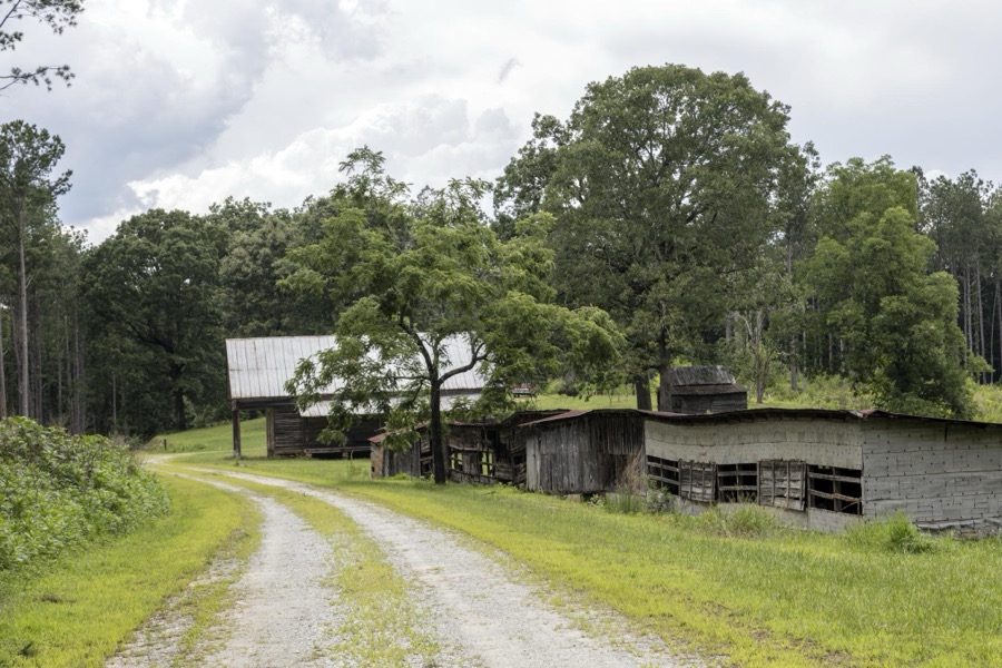 Rural road and cabins near Aerial, Georgia