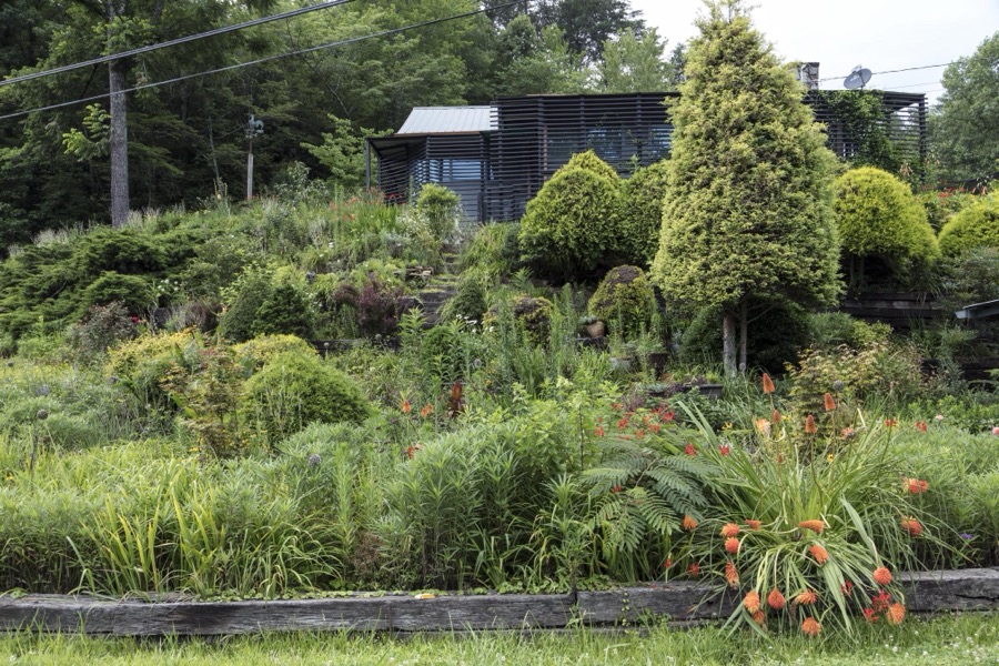 A homeowner used native flowers and plants to landscape the hill below his or her house in Gilmer County, Georgia