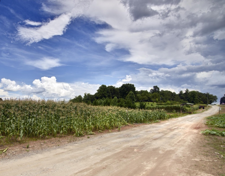 Dirt road beside a cornfield near Clarkesville in Habersham County, Georgia