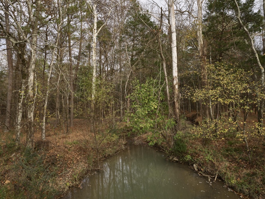 Woods and a pond in a park in Chickamauga, a town in the northwest corner of Georgia made famous by a furious battle fought nearby during the U.S. Civil War of the 1860s