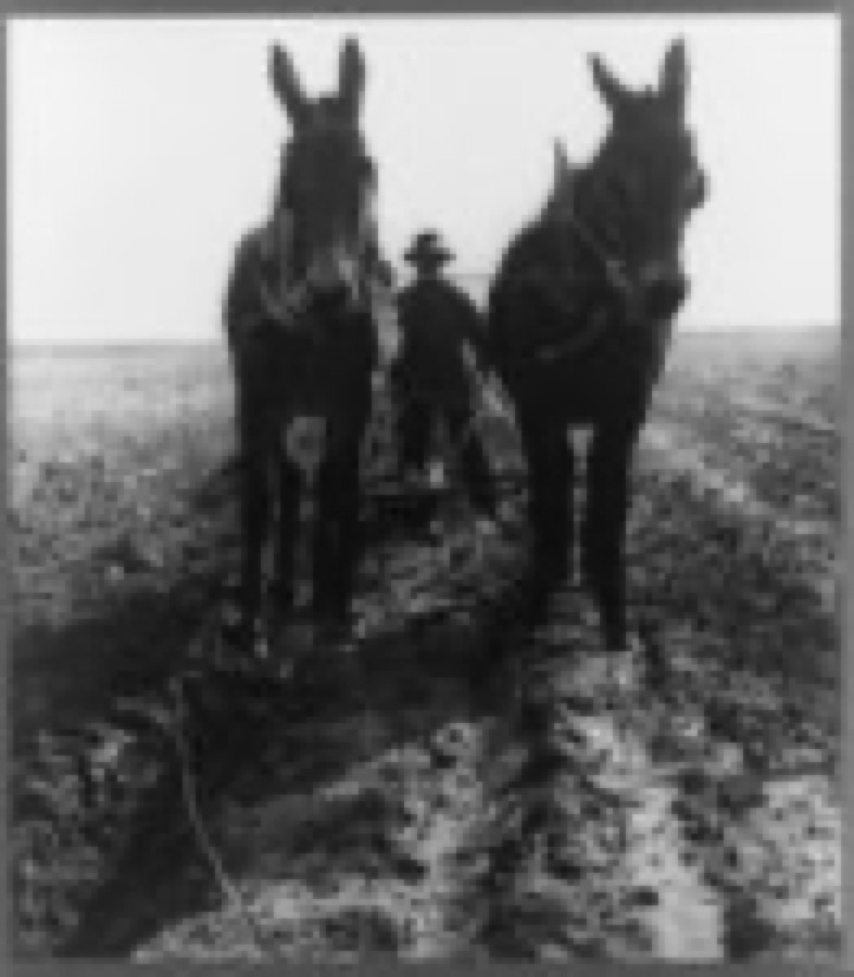 Macon county, Ga. Jan. 1940. Plowing cotton field for spring planting