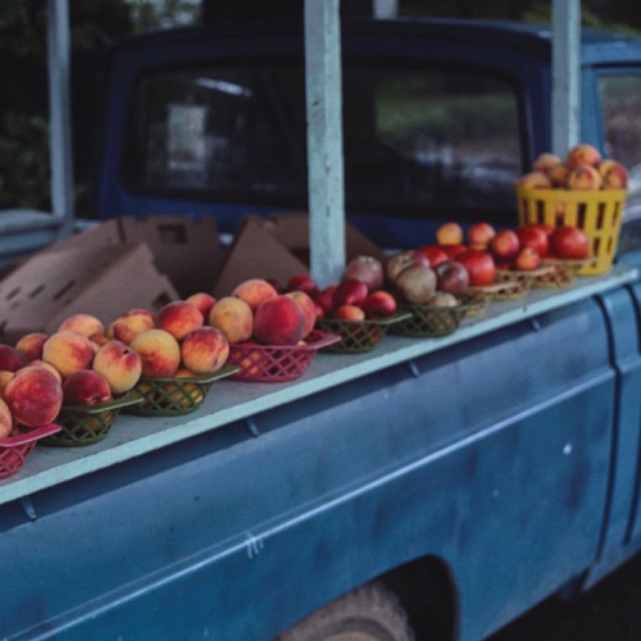South-Central Georgia Folklife Project Collection