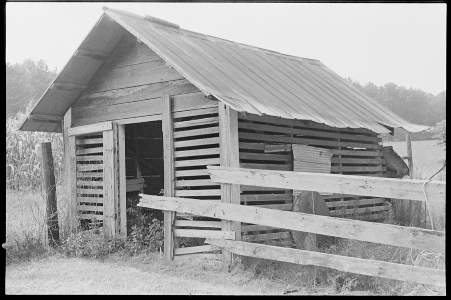 Sutton-Whiddon farm, Tift County, Georgia; Scenes on House Creek, Ben Hill County, Georgia; Royal Singing Convention, Mystic, Georgia