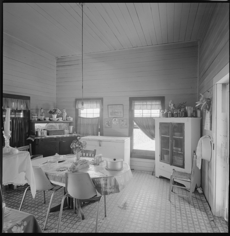 R.W. Clements house and family, Turner County, Georgia; Georgian-style house, Sylvester, Georgia