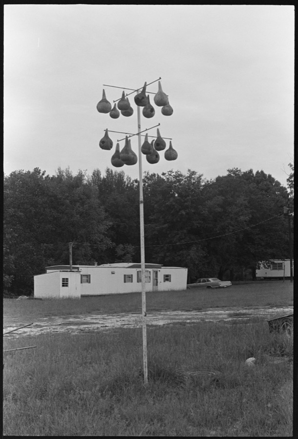 China Grove Baptist Church and other scenes, Colquitt County, Georgia; Swamp near Little River, Cook County, Georgia; Visiting Faye Milton, Berrien County, Georgia